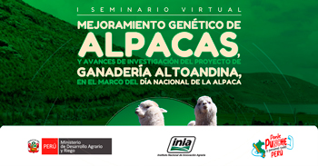 Seminario online Mejoramiento genético de alpacas, y avances de investigación del proyecto de ganadería alto andina