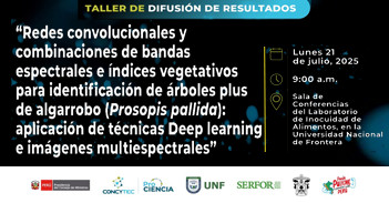 Taller "Redes convolucionales y combinaciones de bandas espectrales e índices vegetativos..." del ProCiencia