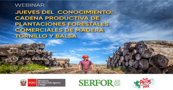 Webinar "Jueves del Conocimiento: Cadena Productiva de Plantaciones Forestales Comerciales de madera..." 