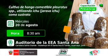 Capacitación presencial " Cultivo de hongo comestible pleurotus spp., utilizando ichu como sustrato" del INIA