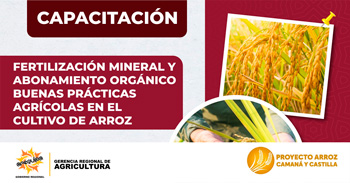  Capacitación presencial "Mejoramiento de los servicios de apoyo a la cadena productiva del cultivo de arroz" 