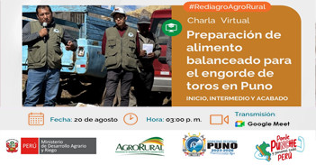 Charla "Preparación de alimento balanceado para engorde de toros en Puno (Inicio, intermedio y acabado)" 