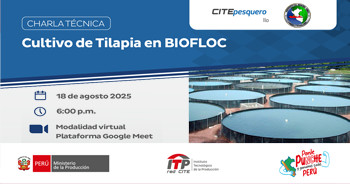  Charla online "Cultivo de Tilapia en BIOFLOC" CITEpesquero Ilo