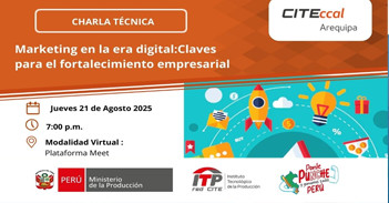  Charla online "Marketing en la era digital: Claves para el fortalecimiento empresarial" del CITEccal Arequipa