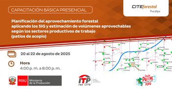 Capacitación presencial "Planificación Forestal con SIG" de la CITEforestal Pucallpa