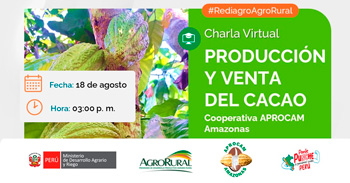 Charla online "Producción y Comercialización del Cacao" de Agro Rural
