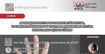 Conferencia online "Abordaje de Delitos Sexuales, Tocamientos Indebidos y Contra la Indemnidad Sexual"