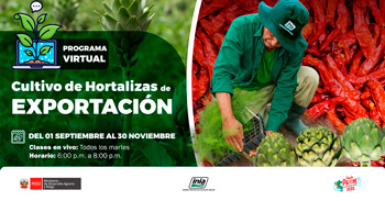  Curso online "Cultivo de Hortalizas de Exportación" del INIA