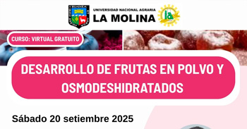  Curso virtual gratuito "Desarrollo de frutas y osmodeshidratados"  de la UNALM