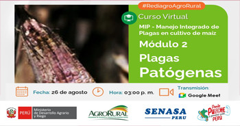 Curso online "Manejo Integrado de Plagas en el cultivo de Maíz Modulo 2: Plagas fitopatógenas."  de Agro Rural