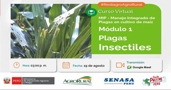 Curso online "Manejo Integrado de Plagas en cultivo de maíz, Módulo 1: Plagas Insectiles"  de Agro Rural