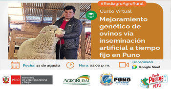 Curso online "Mejoramiento genético de ovinos vía inseminación artificial a tiempo fijo en Puno" 