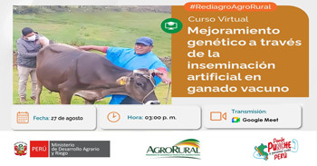 Curso online "Mejoramiento genético a través de la inseminación artificial en ganado vacuno" de Agro Rural