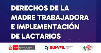  Evento online "Derechos de la madre trabajadora e implementación de lactarios institucionales" 