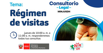Evento online gratis "Régimen de visitas"del MINJUSDH