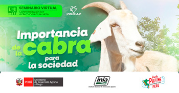 Seminario online "Importancia de la cabra para la sociedad" del INIA