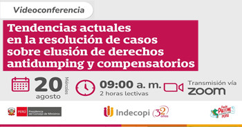 Videoconferencia "Tendencias actuales en la resolución de casos sobre elusión de derechos..." 