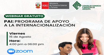 Webinar online gratis "PAI: Programa de Apoyo a la Internacionalización" 