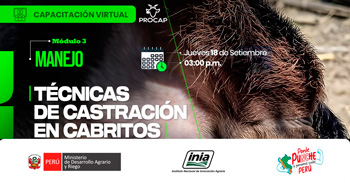  Capacitación online "Técnicas de castración en cabritos" del INIA