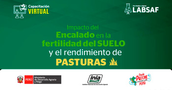 Curso online "Impacto del encalado en la fertilidad del suelo y el rendimiento de pasturas" del INIA