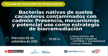 Taller "Bacterias nativas de suelos cacaoteros contaminados con cadmio: Presencia, mecanismos y potencial..." 