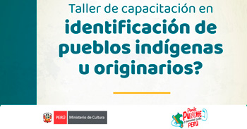 Taller online gratis en "Identificación de Pueblos Indígenas u Originarios para profesionales"