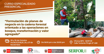 Capacitación presencial "Formulación de planes de negocio en la cadena forestal" del CITEforestal Maynas