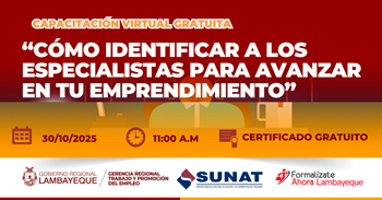  Capacitación online gratis "Como identificar a los especialistas para avanzar en tu emprendimiento"