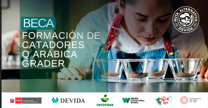 Beca Formación de Catadores Q Arábica Grader Puno - Convocatoria DEVIDA 2023